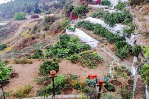Landejendom i Icod, Tenerife, Icod - € 475.000 | Ref: 0067-04630/2961 - foto 30