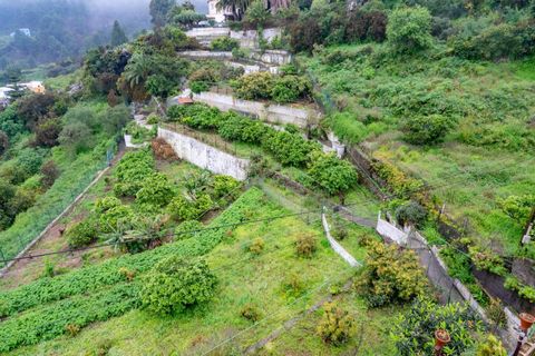 Landejendom i Icod, Tenerife, Icod - € 475.000 | Ref: 0067-04630/2961 - foto 31