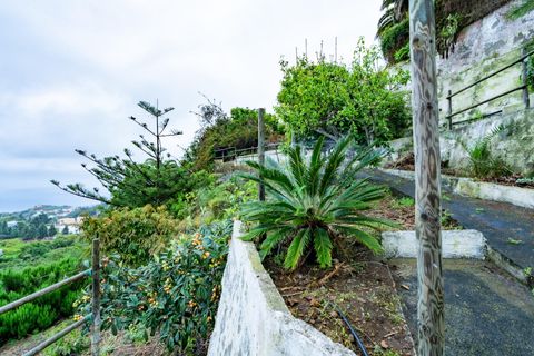 Landejendom i Icod, Tenerife, Icod - € 475.000 | Ref: 0067-04630/2961 - foto 34