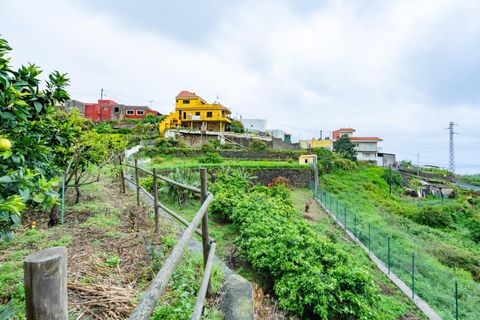 Landejendom i Icod, Tenerife, Icod - € 475.000 | Ref: 0067-04630/2961 - foto 35