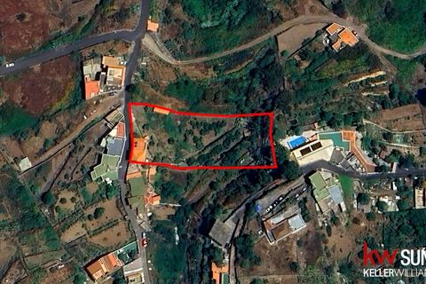Landejendom i Icod, Tenerife, Icod - € 475.000 | Ref: 0067-04630/2961 - foto 39