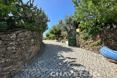 Villa a Serra, Santarem, Serra - € 575.000 | Ref: 523/26 - foto 3