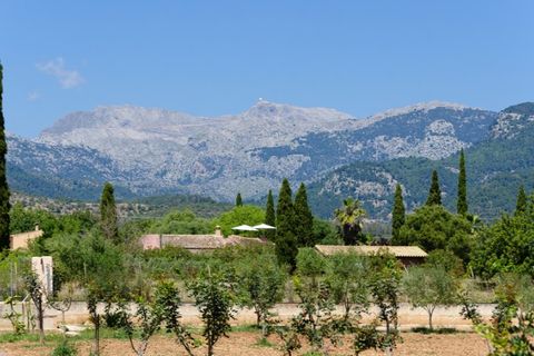 Landejendom i Binissalem, Mallorca, Binissalem - € 950.000 | Ref: 7718 - foto 3