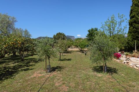 Landejendom i Binissalem, Mallorca, Binissalem - € 950.000 | Ref: 7718 - foto 4