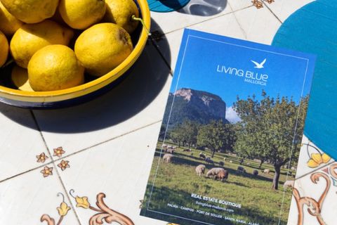 Landejendom i Binissalem, Mallorca, Binissalem - € 950.000 | Ref: 7718 - foto 9