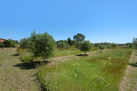 Landejendom i Binissalem, Mallorca, Binissalem - € 950.000 | Ref: 7718 - foto 22