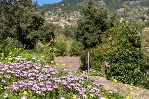 Landejendom i Soller, Mallorca, Soller - € 1.800.000 | Ref: 7180 - foto 2