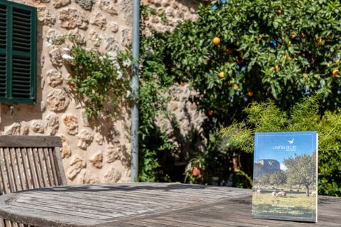 Landejendom i Soller, Mallorca, Soller - € 1.800.000 | Ref: 7180 - foto 14