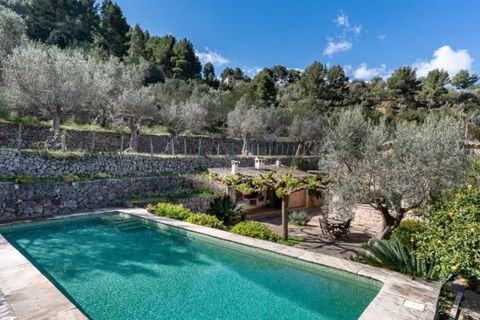 Landejendom i Soller, Mallorca, Soller - € 1.800.000 | Ref: 7180 - foto 18