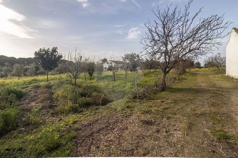 Farm hus i Coruche, Santarem, Coruche - € 389.000 | Ref: 124301205-41 - foto 18