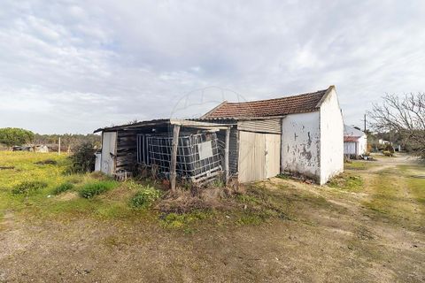 Farm hus i Coruche, Santarem, Coruche - € 389.000 | Ref: 124301205-41 - foto 19