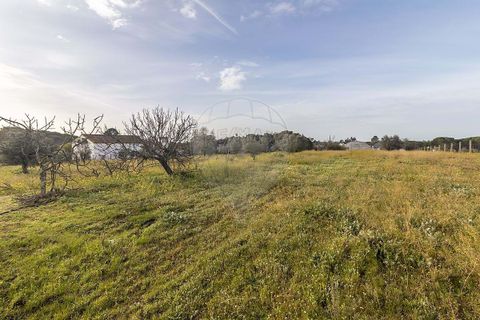 Farm hus i Coruche, Santarem, Coruche - € 389.000 | Ref: 124301205-41 - foto 20