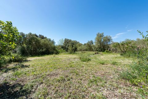 Cortijo i Buger, Mallorca, Buger - € 725.000 | Ref: BUG52185 - foto 14