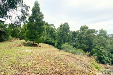 Helårsgrund i Sintra, Lisbon, Sintra - € 1.300.000 | Ref: 888470 - foto 5