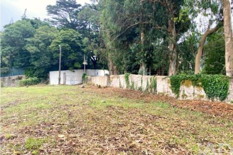 Helårsgrund i Sintra, Lisbon, Sintra - € 1.300.000 | Ref: 888470 - foto 12