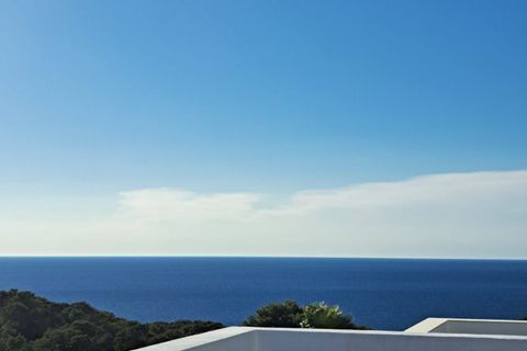 Villa i Sant Josep de sa Talaia, Ibiza - foto 3