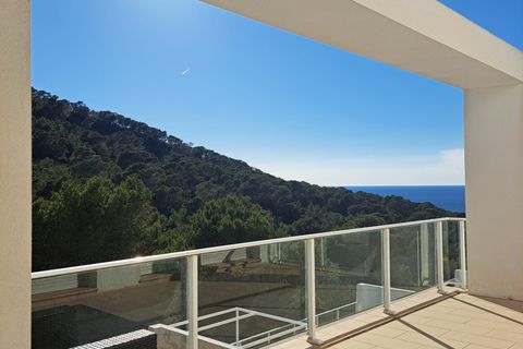 Villa i Sant Josep de sa Talaia, Ibiza - foto 4
