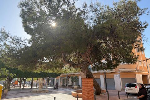 Erhvervsejendom i Elche, Alicante, Elche - € 95.000 | Ref: 3272 - foto 17