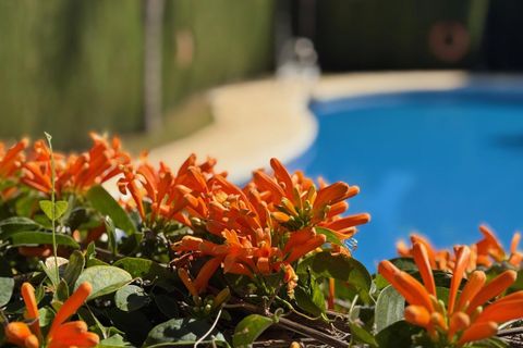 Rækkehus i Estepona, Malaga, Estepona - € 665.000 | Ref: CREW025T4 - foto 26
