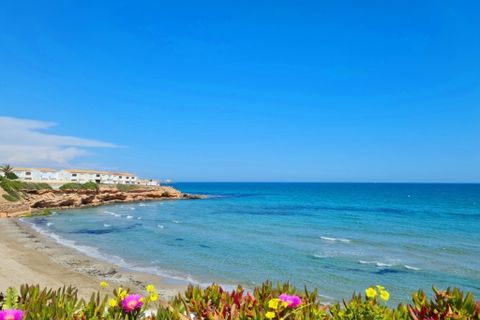 Villa i Orihuela Costa, Alicante, Orihuela Costa - € 255.000 | Ref: MLSC7029539 - foto 33