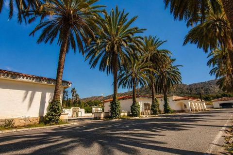Villa a Novelda, Alicante, Novelda - € 6.000.000 | Ref: EXP14188/8930 - foto 8