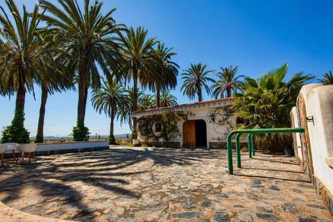 Villa a Novelda, Alicante, Novelda - € 6.000.000 | Ref: EXP14188/8930 - foto 38