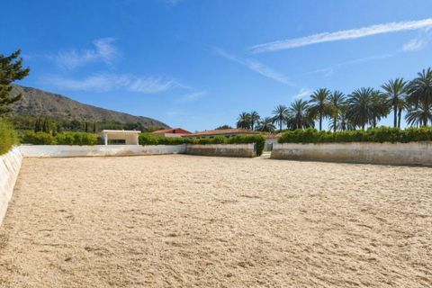 Villa a Novelda, Alicante, Novelda - € 6.000.000 | Ref: EXP14188/8930 - foto 41
