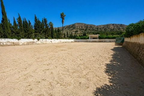 Villa a Novelda, Alicante, Novelda - € 6.000.000 | Ref: EXP14188/8930 - foto 42