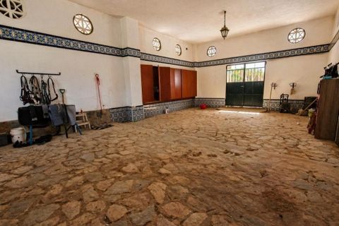 Villa a Novelda, Alicante, Novelda - € 6.000.000 | Ref: EXP14188/8930 - foto 44