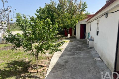 Byhus i Cadaval, Lisbon, Cadaval - € 170.000 | Ref: 888510 - foto 26