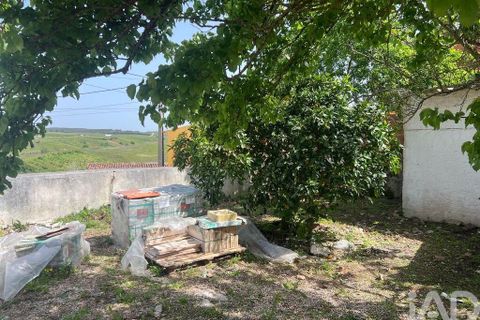 Byhus i Cadaval, Lisbon, Cadaval - € 170.000 | Ref: 888510 - foto 35