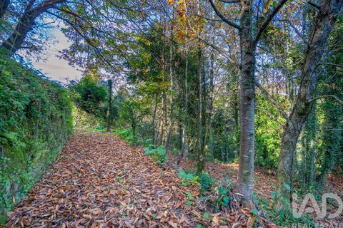 Helårsgrund i Vila Verde, Braga, Vila Verde - € 49.000 | Ref: 768194 - foto 5