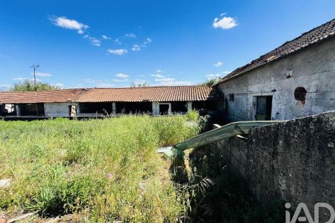 Byhus i Ourem, Santarem, Ourem - € 349.000 | Ref: 885119 - foto 4