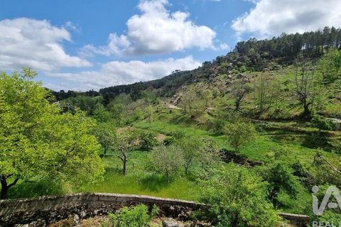 Byhus i Celorico da Beira, Guarda, Celorico da Beira - € 19.000 | Ref: 888296 - foto 5