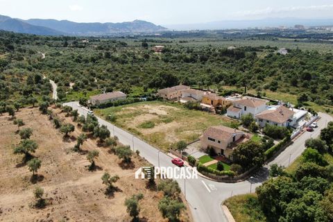 Tenuta Palau-Saverdera, Gerona - foto 4