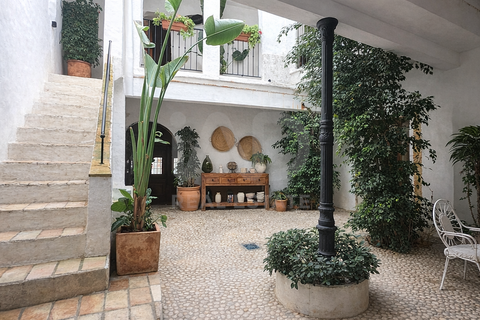 L'establiment comercial a Cadiz, Cadiz, Cadiz - € 920.000 | Ref: 886361 - foto 3