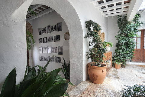 L'establiment comercial a Cadiz, Cadiz, Cadiz - € 920.000 | Ref: 886361 - foto 7