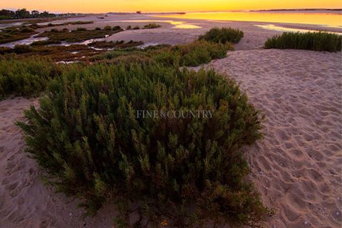 Villa a Olhao, Faro, Olhao - € 1.250.000 | Ref: FC028TV-V3*W - foto 13