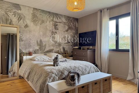 Villa a Duras, Lot-et-Garonne, Duras - € 630.000 | Ref: CJG054 - foto 12