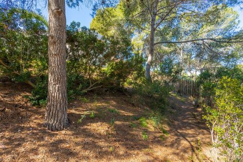 Villa en Orihuela, Alicante, Orihuela - € 499.000 | Ref: AG19MLSC6438208 - photo 46