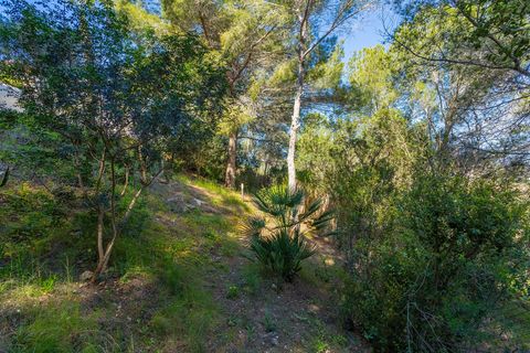 Villa en Orihuela, Alicante, Orihuela - € 499.000 | Ref: AG19MLSC6438208 - photo 49