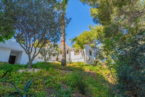 Villa en Orihuela, Alicante, Orihuela - € 499.000 | Ref: AG19MLSC6438208 - photo 50