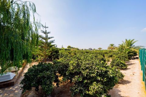 Landejendom i Almoradi, Alicante, Almoradi - € 1.300.000 | Ref: AG19MLSC5582371 - foto 21