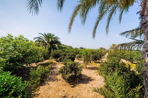 Landejendom i Almoradi, Alicante, Almoradi - € 1.300.000 | Ref: AG19MLSC5582371 - foto 22