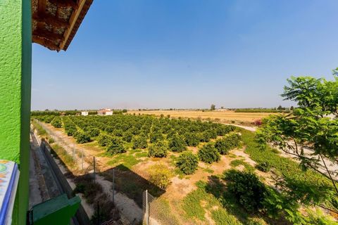 Landejendom i Almoradi, Alicante, Almoradi - € 1.300.000 | Ref: AG19MLSC5582371 - foto 26
