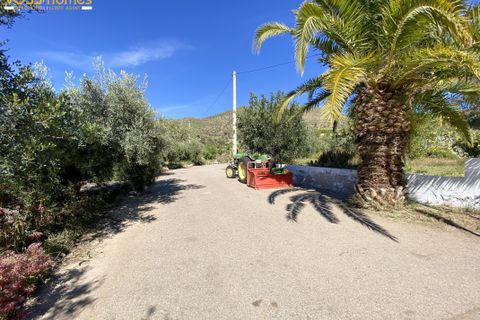 Landejendom i Huercal-Overa, Almeria, Huercal-Overa - € 280.000 | Ref: VH2748 - foto 46