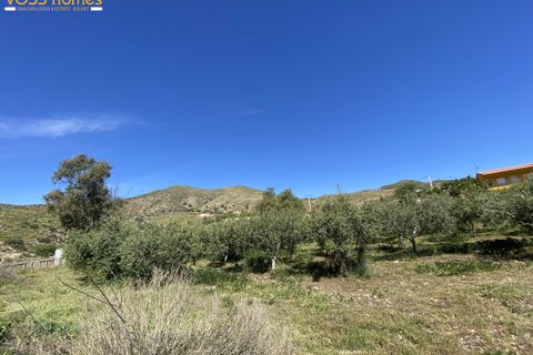 Landejendom i Huercal-Overa, Almeria, Huercal-Overa - € 280.000 | Ref: VH2748 - foto 49