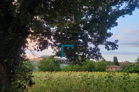 Landejendom i Rotella, Ascoli Piceno, Rotella - € 300.000 | Ref: 227 - foto 39