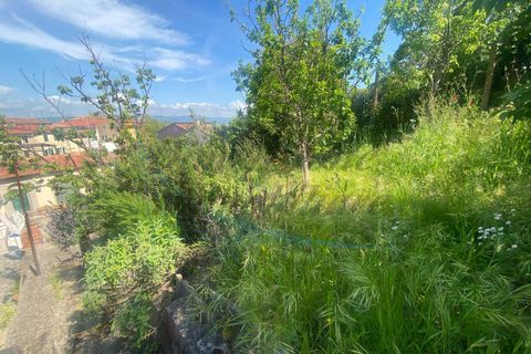 Villa i Rosignano Marittimo, Livorno, Rosignano Marittimo - € 145.000 | Ref: C1070 - foto 17