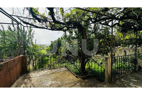 Leilighet i Boidobra, Castelo Branco, Boidobra - € 140 000 | Ref: UNU.I.2215.12348 - foto 13